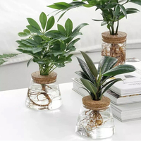 Vase cylindrique en verre transparent fait à la main moderne de qualité en gros 3 pièces ensemble de terrarium en verre pour la décoration intérieure Vase de table