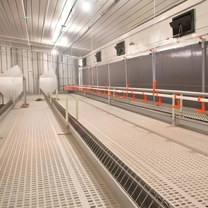 Sistema di Alimentazione Automatico a Catena per Polli, Galline <span class=keywords><strong>e</strong></span> Pollame da Allevamento - Product Image 1