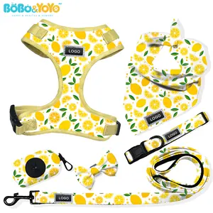 BOBO&YOYO Custom Pattern Durable Neoprene Polyester No Pull Soft Leads Dog Cat Harness Leash Collar Set With Poop Bag Dispenser