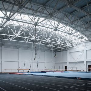 Chất Lượng Cao Thể Thao Phức Tạp Thép Mái Nhiệm Vụ Nặng Nề 1000Kg Khả Năng Tải Thiết Kế Hiện Đại Giá Thấp - Product Image 3