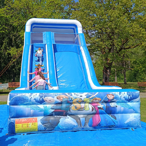 Tobogán inflable comercial al aire libre personalizado <span class=keywords><strong>de</strong></span> fábrica Castle <span class=keywords><strong>Spiderman</strong></span> Frozen Dry Slide Games Tobogán inflable gigante para niños - Product Image 4