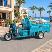 Tricycle électrique robuste pour le transport de matériaux et d'équipements sur les chantiers de construction
