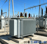 Transformateur triphasé immergé dans l'huile en aluminium ONAN/ONAF à économie d'énergie avec refroidissement CE/ISO9001 S13/S20/S22 50/60Hz 630KVA