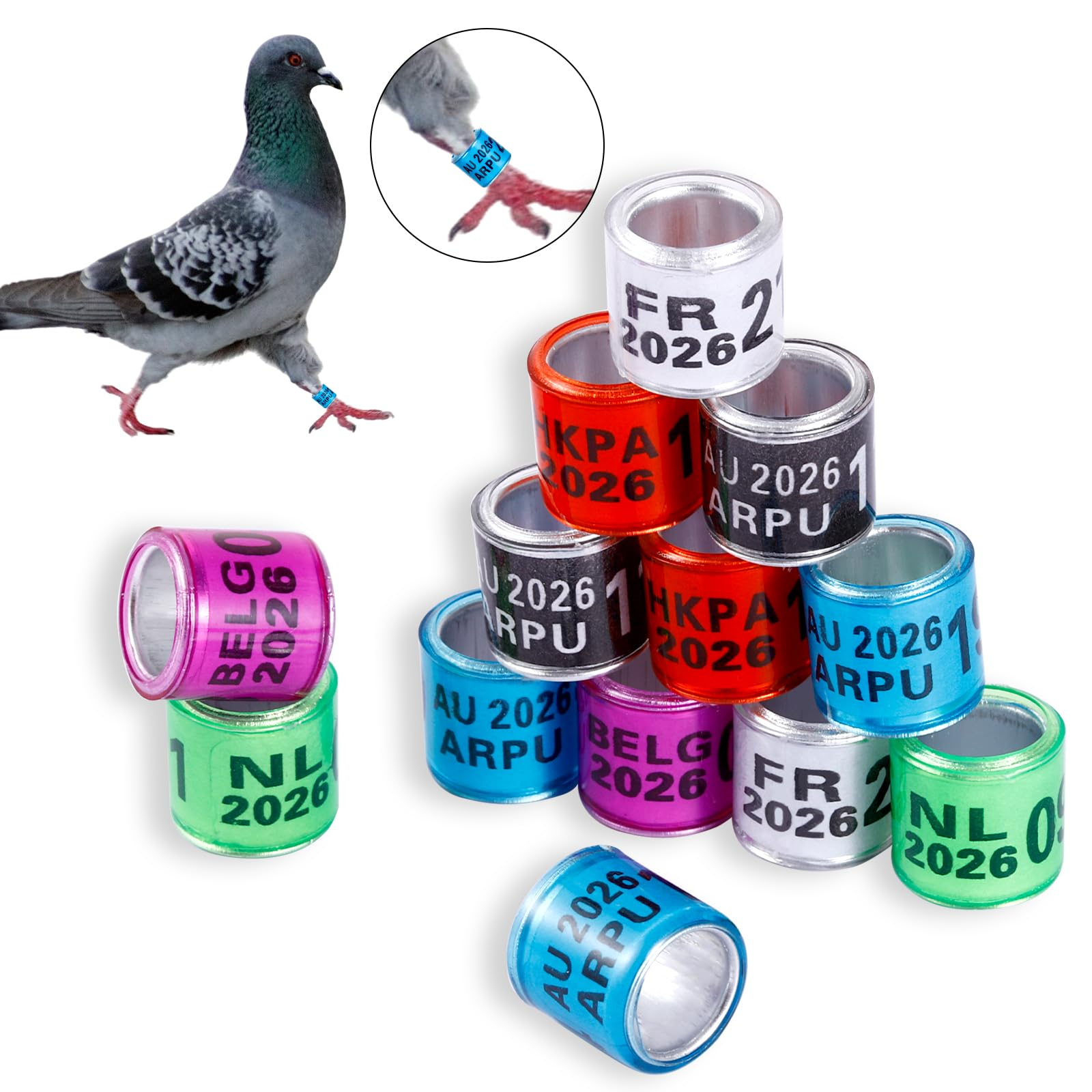 pigeon rings aluminium