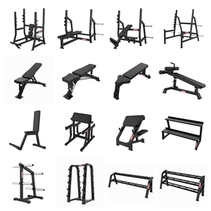 Appareils à charge libre <span class=keywords><strong>pour</strong></span> exercices <span class=keywords><strong>de</strong></span> dos et <span class=keywords><strong>abdominaux</strong></span> : Machine à hyperextension 45°, Banc abdominal, Chaise romaine, Équipement sportif - Product Image 5