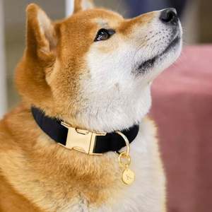 Monedas de Joyería Personalizadas al por Mayor con Logotipo Grabado en Acero Inoxidable Chapado en Oro de 18K para Mascotas - Product Image 5