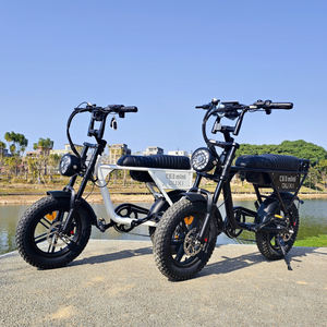 OUXI <span class=keywords><strong>C63</strong></span> Mini EU Warehouse Retro Vélo électrique Hybrid E-Bike Road Dirt Mountain Fat Tire Ebike pour l'équitation en montagne - Product Image 3