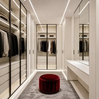 Système de dressing sur mesure avec porte vitrée, éclairage LED, miroir de courtoisie et rangement pour la maison