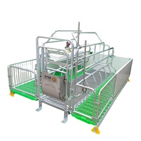 Meilleures ventes : Équipement d'élevage porcin galvanisé à chaud – Cages de gestation pour truies