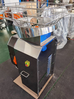 Commerciële automatische citruspers sinaasappelpersmachine roestvrijstalen filter 300W motor met omkeerbeveiliging voor het persen van sap