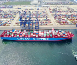 Trasporto oceanico Qindgao Shanghai Tianjin in europa FCL spedizione FOB CIF termine 20/40GP 40HQ container per la vendita - Product Image 5