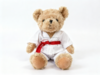 Peluche Ours Mignon Taekwondo en Polyester Personnalisable pour Événements de Clubs d'Arts Martiaux Style Karaté Cadeau Idéal