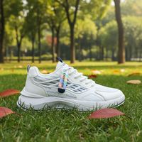 Chaussures pour hommes, baskets décontractées en maille respirante pour l'été, fabrication directe d'usine, légères, à lacets, confortables, antidérapantes