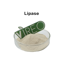 Poudre d'enzyme lipase industrielle de haute qualité, approvisionnement en vrac pour la fabrication du papier et le traitement textile