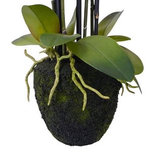 ดอกกล้วยไม้ฟาแลนนอปซิสสีชมพูสัมผัสเหมือนจริงจาก Oh Arts  ดอกไม้ประดิษฐ์จากยางพาราสำหรับขาย - Product Image 5