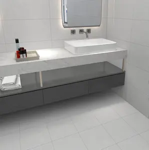 Homojen fayans 300x300 ağır porselen karolar 30*30 çocuk banyo fayans döşeme