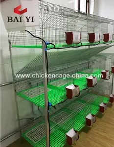 BAIYI-jaula de cría de conejos automática, nuevo diseño, para el diseño de la industria