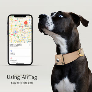 Collar <span class=keywords><strong>de</strong></span> perro <span class=keywords><strong>de</strong></span> cuero genuino económico personalizado 2025 con estilo <span class=keywords><strong>de</strong></span> lujo y hebilla compatible con <span class=keywords><strong>Airtag</strong></span> - Product Image 6