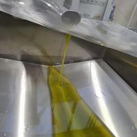 Usine de traitement d'huile d'avocat, ligne de production d'huile d'avocat raffinée, machine de mouture d'huile d'avocat