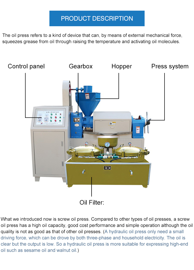 Sesame sunflower juicer commercial production seed automatic soy almond industrial cold oil press machine for sale