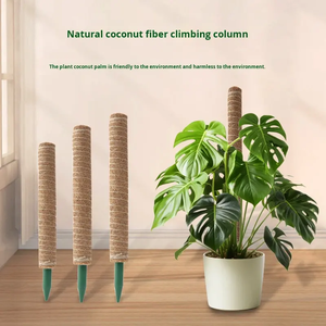 Poteau en <span class=keywords><strong>fibre</strong></span> <span class=keywords><strong>de</strong></span> coco flexible et écologique avec poignée en PVC, grande taille, 48 pouces, brun naturel, pour Monstera et plantes d'intérieur - Product Image 4