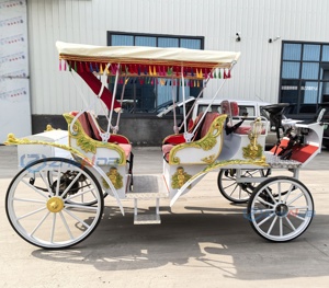 Voiture électrique blanche de type Victoria pour le tourisme, calèche de mariage, calèche personnalisée pour le tourisme, transport spécial - Product Image 6