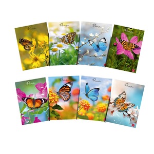 PIGNA - CARNET MAXI PAPILLONS 50 FEUILS/COUPLAGE QUADRILATÉRALE 1ère et 2ème année AVEC MARGES ASSORTIES - Product Image 1