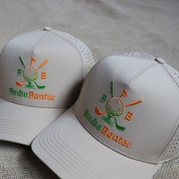 Casquette de baseball personnalisée de haute qualité avec logo brodé, respirante, perforée au laser, imperméable, pour le golf, pour les clubs de golf