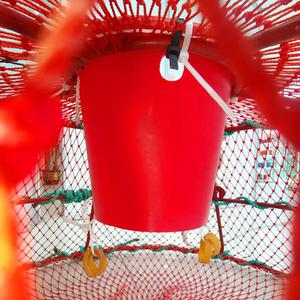 Customized Multi-Functional <strong>Fishing</strong> <strong>Nets</strong> Double Knot Type Shrimp Fish <strong>Crab</strong> Traps in Assorted Colors - Product Image 6