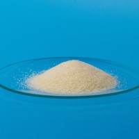 Poudre de gélatine comestible halal de qualité alimentaire pour les bonbons, les gelées, les guimauves et les produits de confiserie