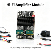 100W+100W Çift Kanallı Dijital Amplifikatör Kartı 200W Köprülenebilir Mono Subwoofer AMP DC10 ila 30V Ses Amplifikatör Modülü