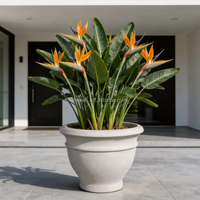 Grands pots de jardin classiques en ciment résistants aux intempéries pour la décoration extérieure des villas