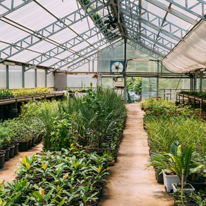 Invernadero Agrícola Inteligente Grande de Doble Capa de PE con Tecnología Hidropónica para Cultivar Plantas de Lechuga <span class=keywords><strong>y</strong></span> Ensalada - Product Image 2