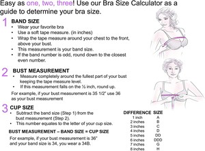 Campione gratuito Brasier de doble apoyo sin varilla para mujer Girls reggiseno morbido traspirante intimo confortevole - Product Image 4