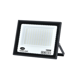 Éclairage Urbain : Projecteur LED AC 100W pour Façades de Bâtiments Commerciaux au Kenya et en Éthiopie - Product Image 1
