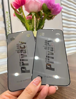 Protection d'écran de confidentialité en verre trempé anti-espion et anti-statique pour iPhone 17 16 15 14 13 12 11 Pro Max