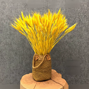 Bouquet <span class=keywords><strong>de</strong></span> fleurs séchées écologiques en forme <span class=keywords><strong>d</strong></span>'<span class=keywords><strong>épi</strong></span> <span class=keywords><strong>de</strong></span> <span class=keywords><strong>blé</strong></span> doré, simulation <span class=keywords><strong>d</strong></span>'<span class=keywords><strong>orge</strong></span> pour aménagement paysager, <span class=keywords><strong>d</strong></span>écoration <span class=keywords><strong>de</strong></span> maison, mariage, Noël, cadeau DIY en gros - Product Image 4