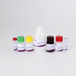 CSFV Erns Protein Antibody Diagnostic <strong>Kit</strong> for Swine Fever Monitoring &amp; Vaccine Efficacy Evaluation - Product Image 4