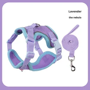 Tali hewan peliharaan poliester polos mode baru musim panas tali anjing Anti lepas pasang kancing penutup empuk untuk anjing kecil untuk penggunaan luar ruangan - Product Image 6