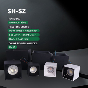 Focos Cuadrados Negros Minimalistas de 15W 20W 30W 40W 50W con Certificación CE, Duraderos y Sin Parpadeo, Downlights LED de Superficie - Product Image 1