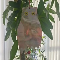 Épouvantail d'oiseau facile à utiliser Laser suspendu Réfléchissant Hibou Oiseau Répulsif Refléter les oiseaux Effrayer la cloche