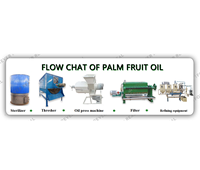 Automatische palmolieproductielijn 1TPH kleine schaal palmolie pers- en raffinaderij CPO verwerkingsmolen voor Afrika