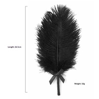 Baguette érotique en plumes d'autruche noire pour femmes, accessoires de préliminaires et de flirt pour couples, produits sexuels pour adultes Yusheng En stock
