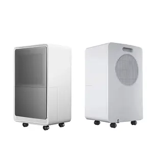 I migliori deumidificatori Mini, casa deumidificatore portatile di umidità dell'aria silenziosa, refrigerazione a semiconduttore