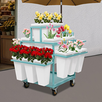 Présentoir à fleurs robuste pour la maison, étagère mobile pour bouquets de fleuriste, pour intérieur, extérieur, patio, jardin, camion de fleurs vivantes