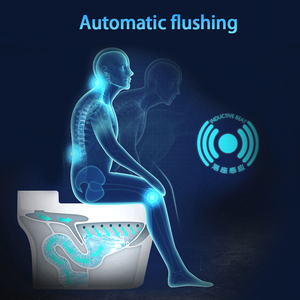 Inodoro Inteligente Marca ARROW, Sanitario WC con Bidé Automático, de Una Pieza, Cerámico, con Botella de Limpieza, Taza con Descarga por Arrastre, Forma Alargada Incluida - Product Image 5