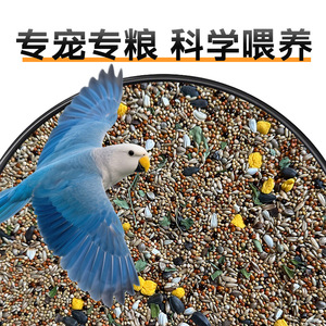 Nourriture pour oiseaux pour agapornis, perruches, calopsittes, petits perroquets avec huile de tournesol et millet, 1200 ml, contenant en céramique durable en vrac - Product Image 3