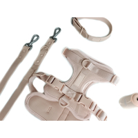 Collier de chien en PVC étanche laisse ensemble mode impression conception Rivet en gros accessoires pour animaux de compagnie pour petits animaux en Silicone