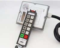 Control Remoto Inalámbrico Industrial de Doble Velocidad con 10 Botones, Resistente al Agua IP66, Accesorios para Grúas, Polipasto Eléctrico con Cable de Acero