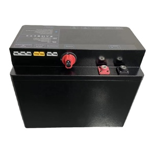 Licitti 12v 24v 3000w lifepo4バッテリーインバーター付きリチウム電池 - Product Image 3